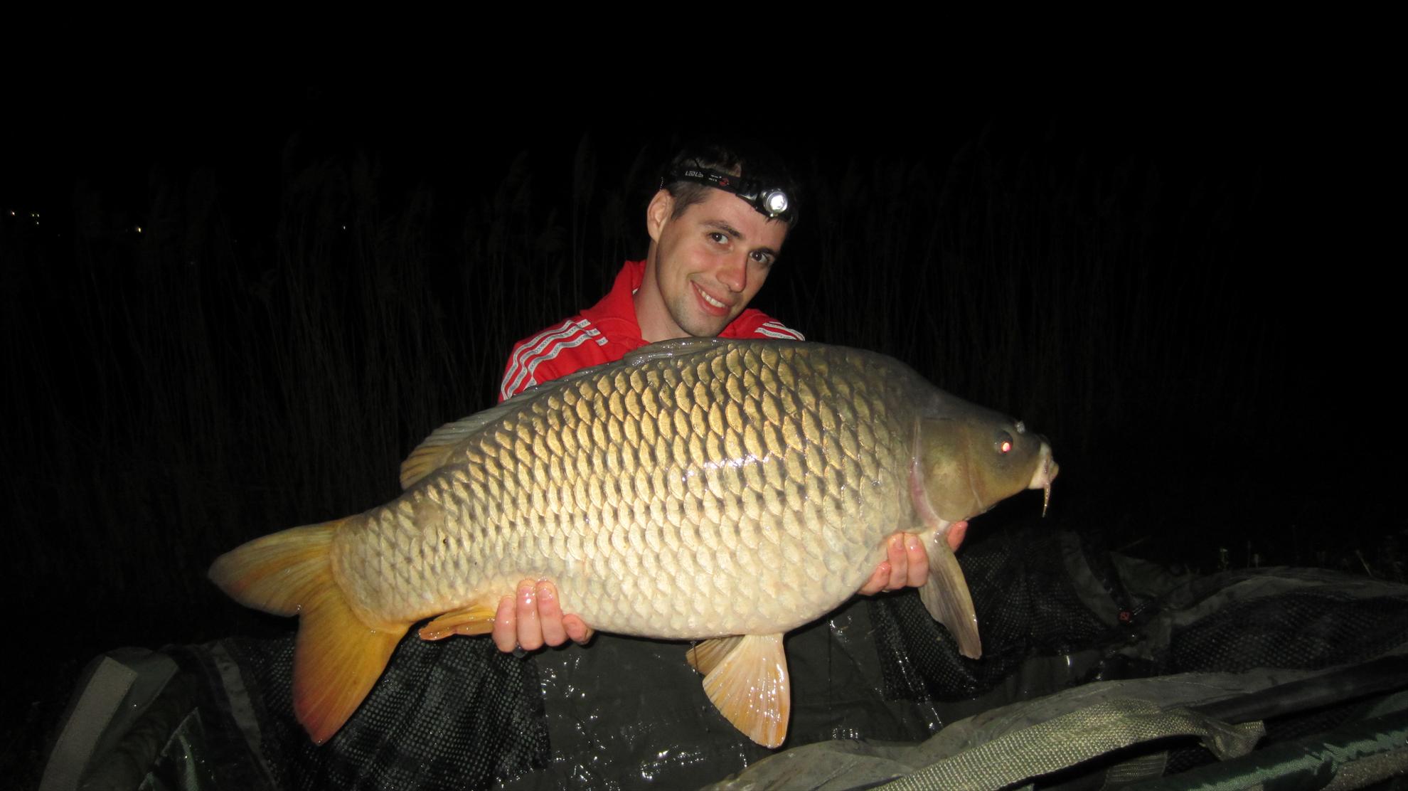 Harsany 1 - 5 mai. - img2529.JPG